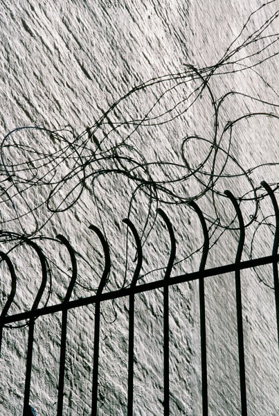Barbed wire fence
