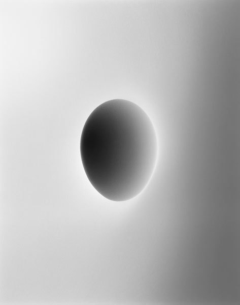 Zen Egg