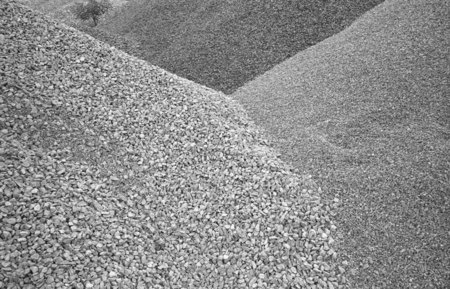 Tree growing in pebbles